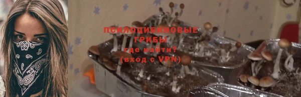 прущий лед Ельня