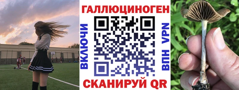 Псилоцибиновые грибы Psilocybine cubensis  Сосновка 